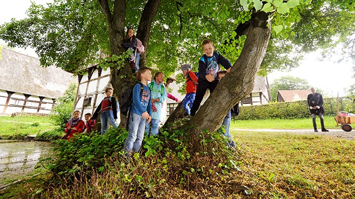 Eine Gruppe von Schülern, die in einem Baum herumklettern.