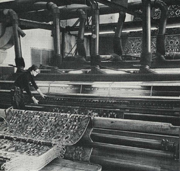 Schermaschine im Betrieb der Firma Reichel in Rheinberg.