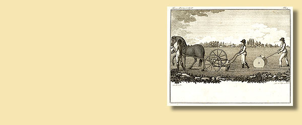 Landwirtschaftliche Ackergerte von 1804