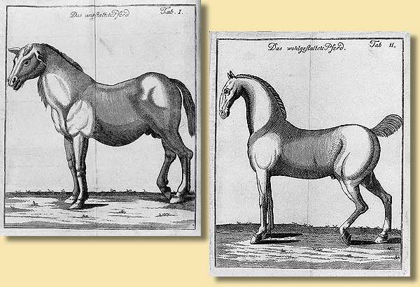 Das ungestaltete Pferd - Das wohlgestaltete Pferd, 1790