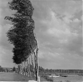 Auch vor rund 100 Jahren blies manch starker Wind. Ob es hier am Möhnesee der &quot;Ordenwind&quot; war, ist allerdings nicht belegt.&lt;br&gt;Foto: LWL/ Rudolf Lindemann 