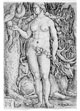 Aldegrever, Heinrich (1502-1555/61): Adam und Eva, 1529 / Soest, Burghofmuseum / Münster, LWL-Medienzentrum für Westfalen / O. Mahlstedt
