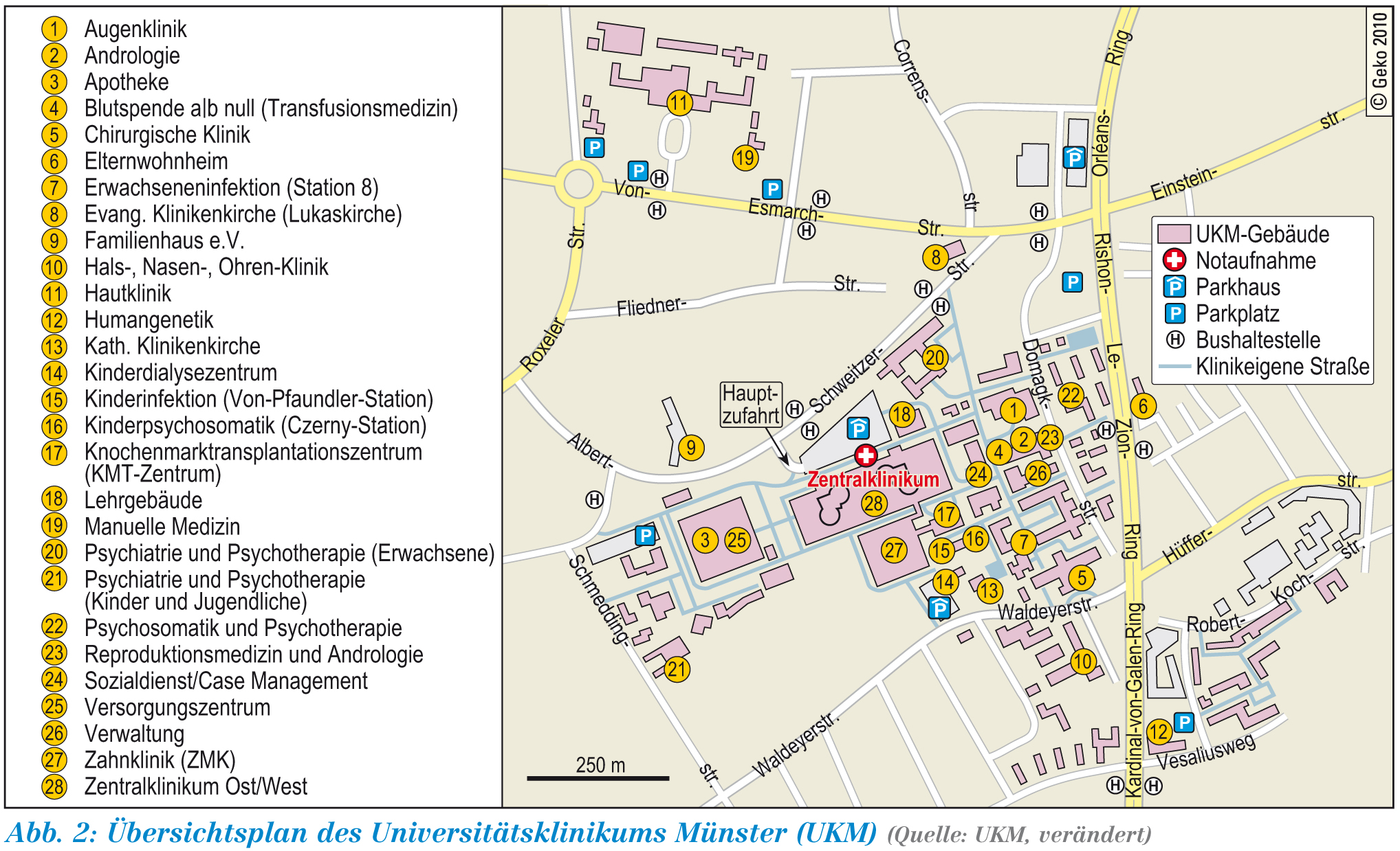 Das Universitätsklinikum Münster (UKM) - LWL | Startseite - Westfalen  Regional
