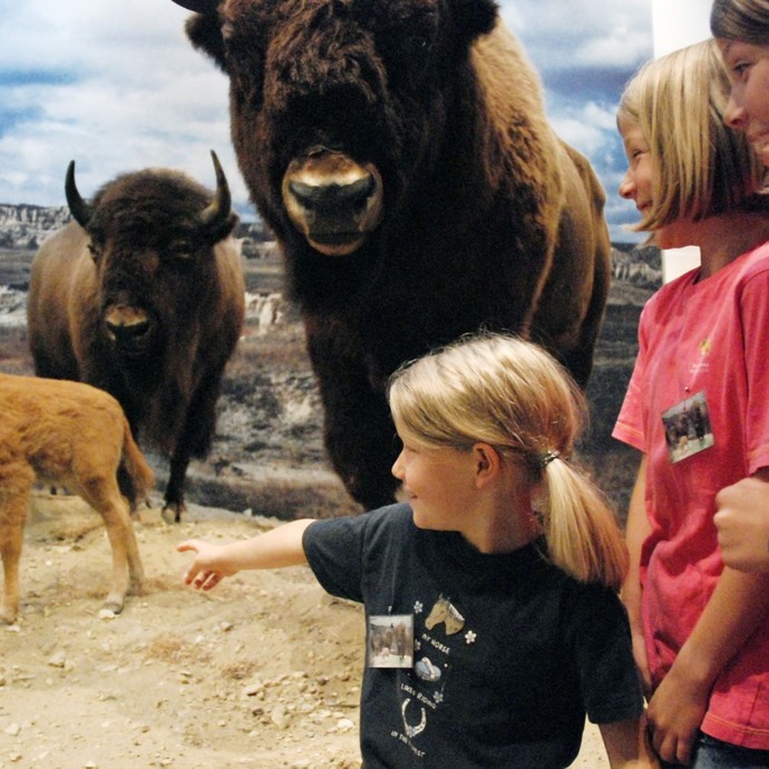 Kinder stehen vor (künstlichen) Bisons und zeigen darauf (vergrößerte Bildansicht wird geöffnet)